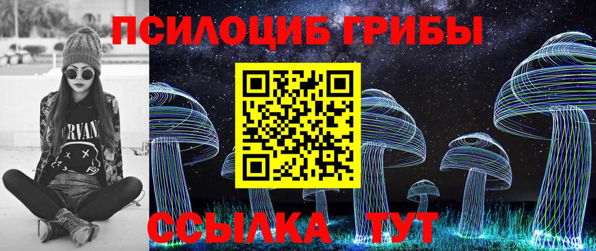Качканар  Галлюциногенные грибы мухоморы  Вход с VPN 