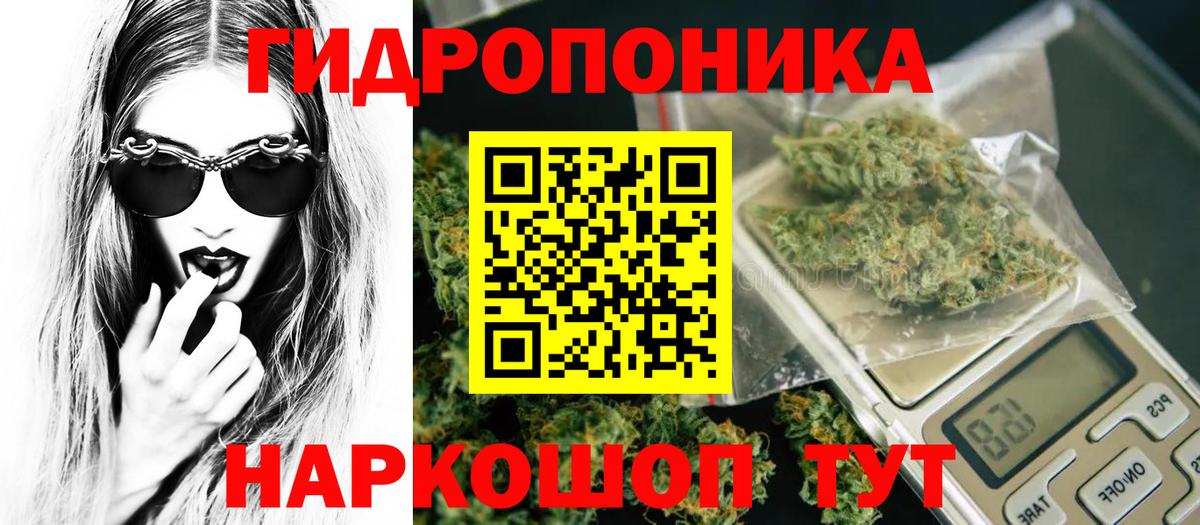 Качканар  Бошки Шишки гибрид  Вход с VPN  Конопля марихуана 